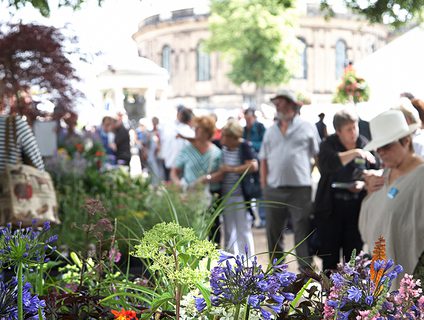 Flower Show 09