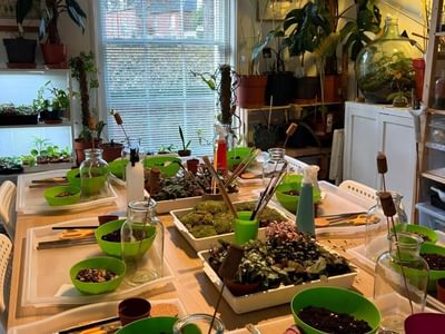 Terrarium Workshop