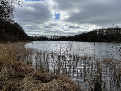 Bomere pool in shrewsbury