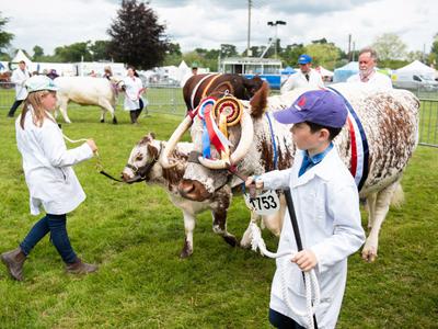 County show header