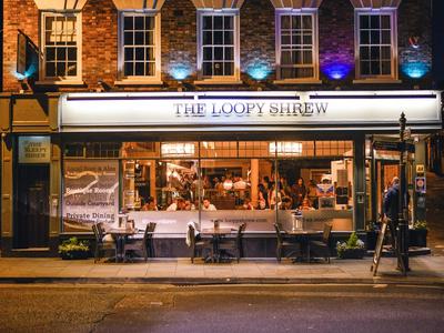 Loopy shrew