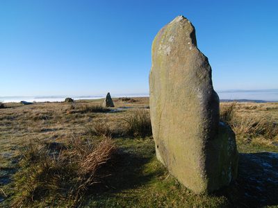 Mitchells fold
