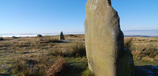 Mitchells fold