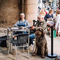 Dog friendly accommodation