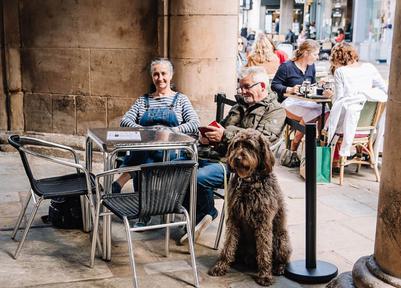 Dog friendly accommodation