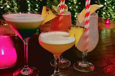 Alcohol free3