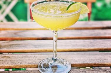 Alcohol free6