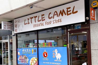 Little camel