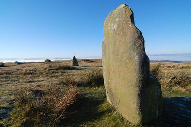 Mitchells fold