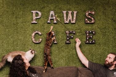 Paws cafe 3