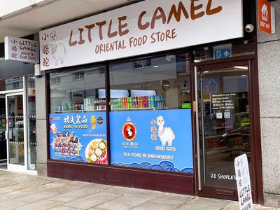 Little camel