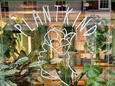 Plantkind window
