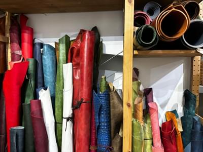 Two fat dogs leather selection